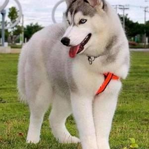 Meet your Posher, Kesley